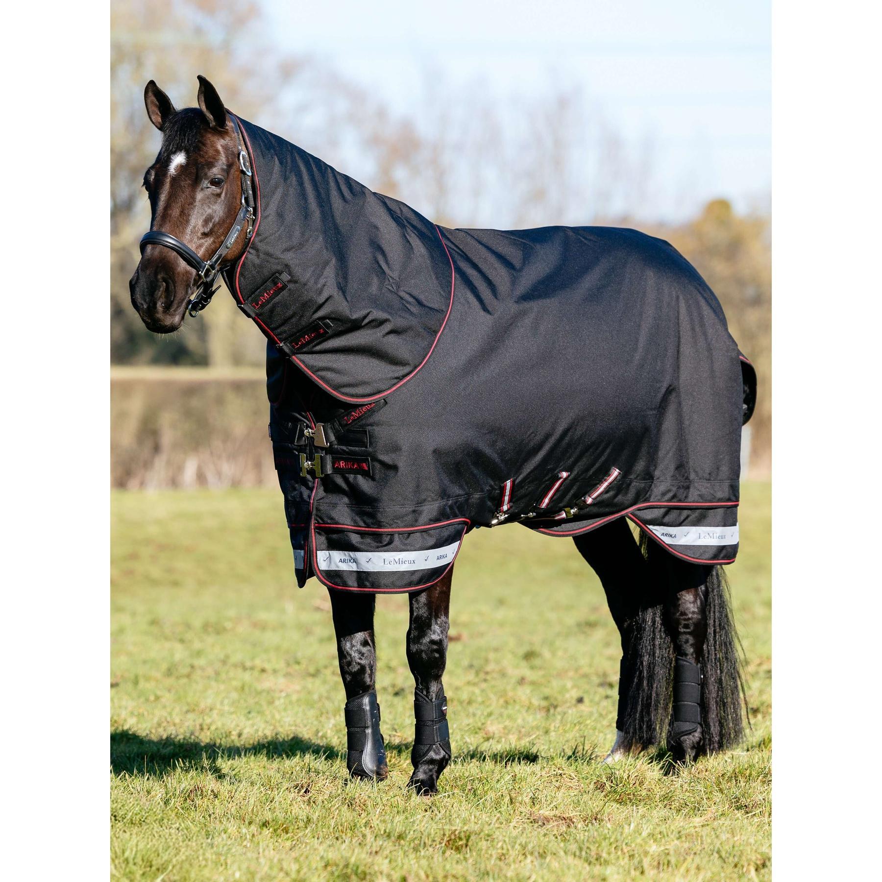 Waterdichte paardendeken LeMieux Arika Storm-Tek 350g 4/5