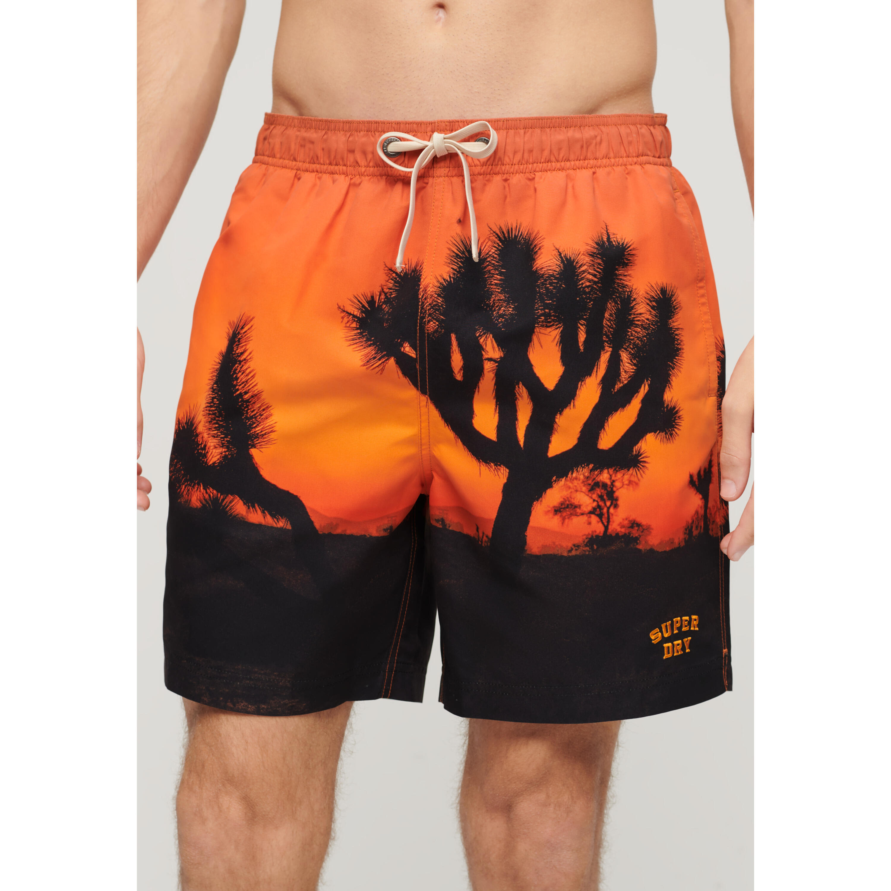 Short de bain Superdry Photographic 7/7