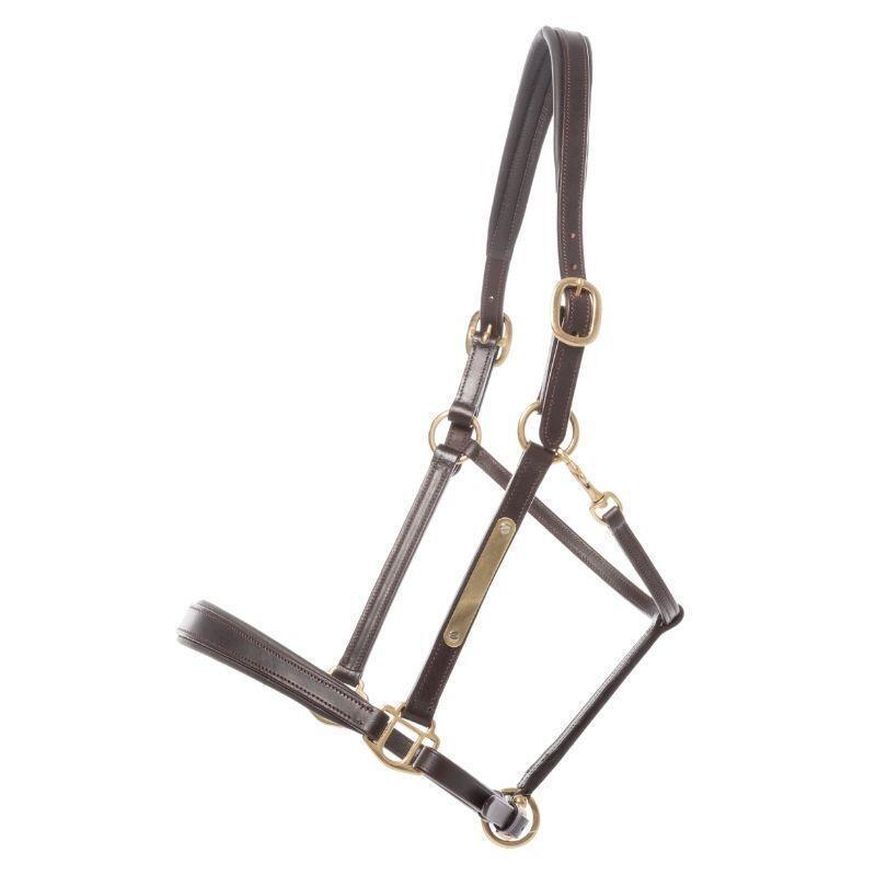Leather halter for horses Kavalkade Bennet