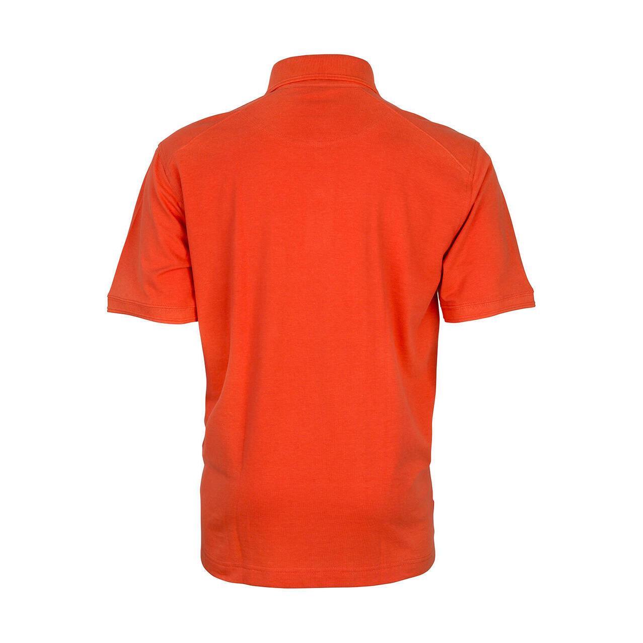 Polo Result Apex 2/3