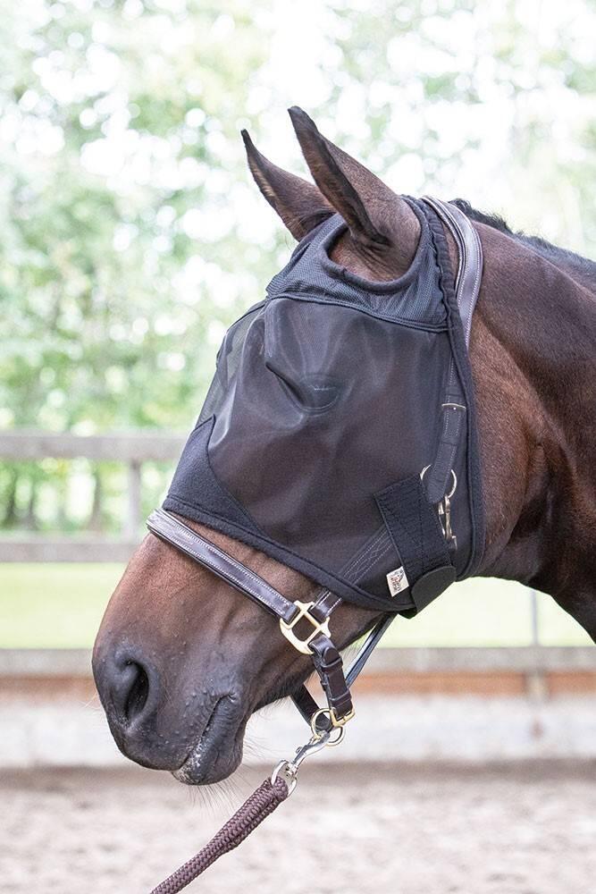 HARRYS HORSE picture