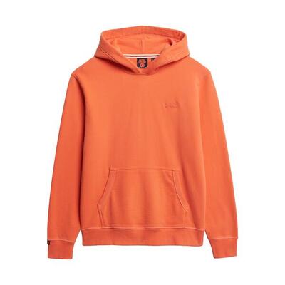 Sweater met capuchon en logo superdry essential