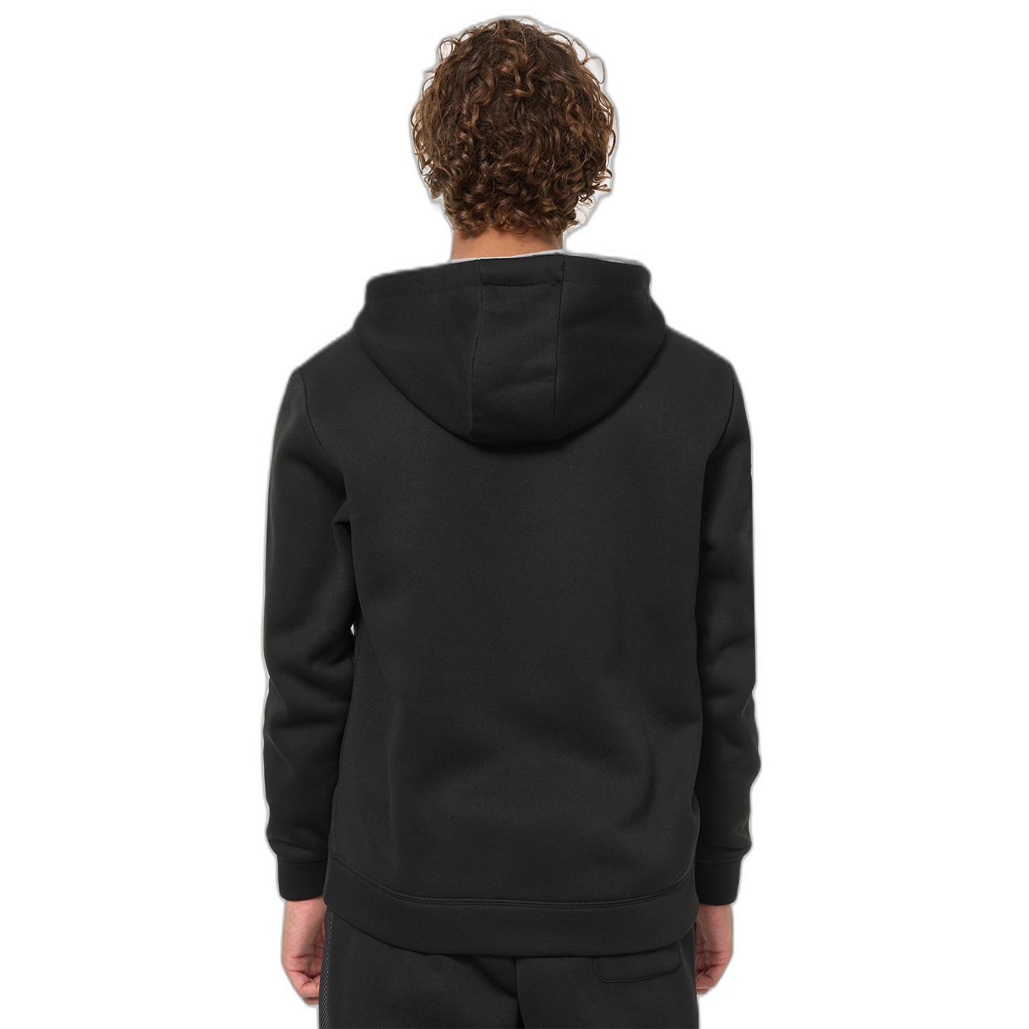 Sudadera con capucha Lonsdale Ashgrove 3/4