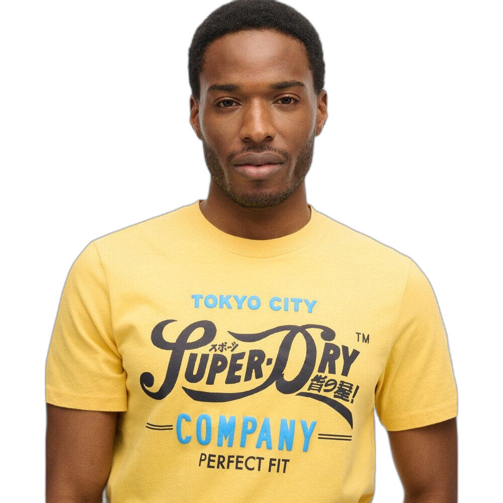 T-shirt Superdry Perfect Fit Script 4/4