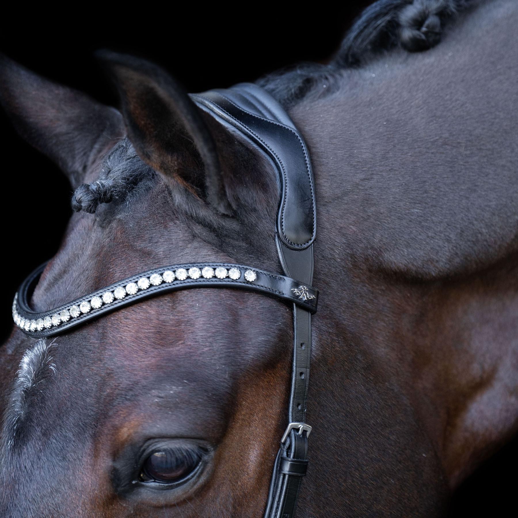 Briglia da equitazione HV Polo Legacy Anatomique Deluxe 3/3