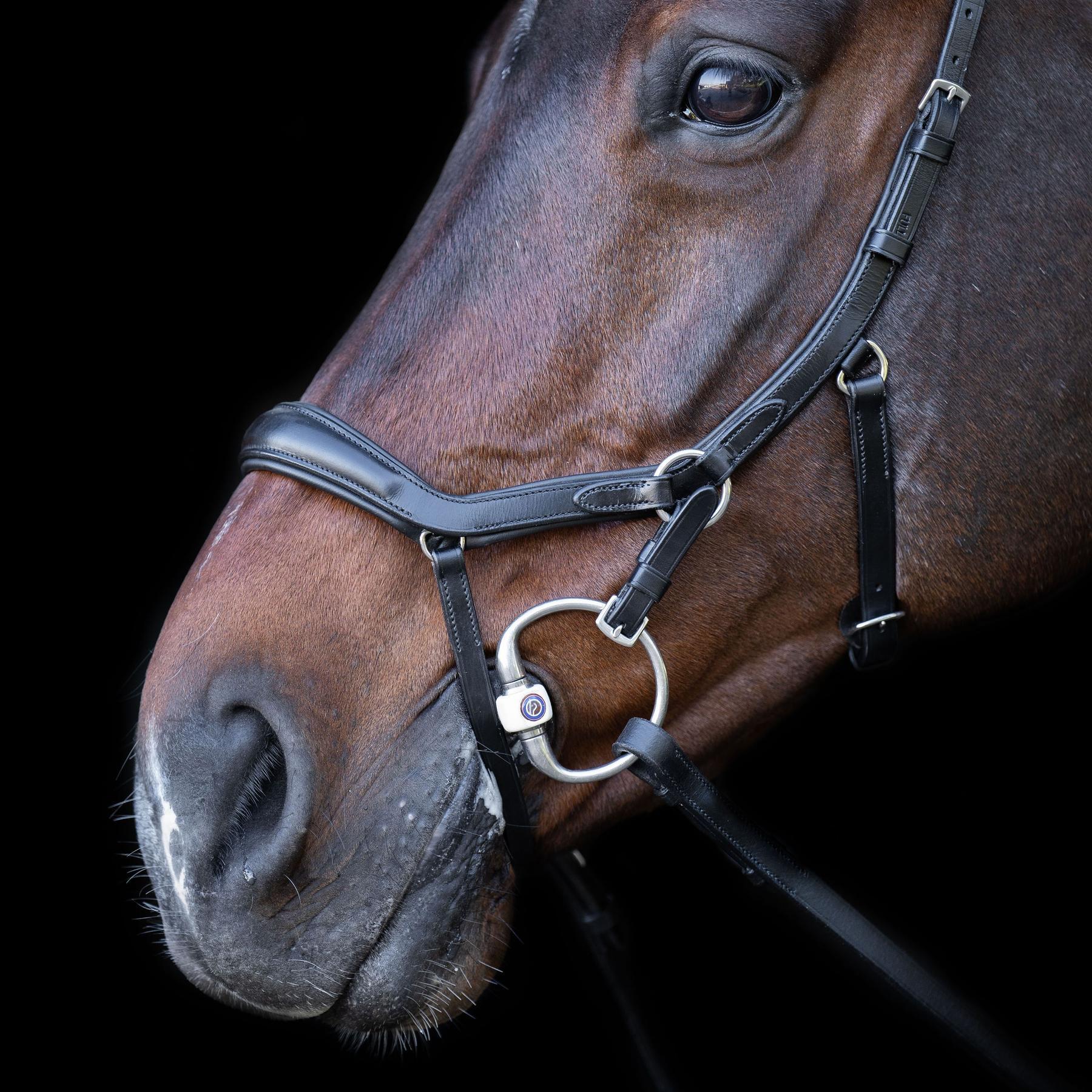 Briglia da equitazione HV Polo Legacy Anatomique Deluxe 2/3
