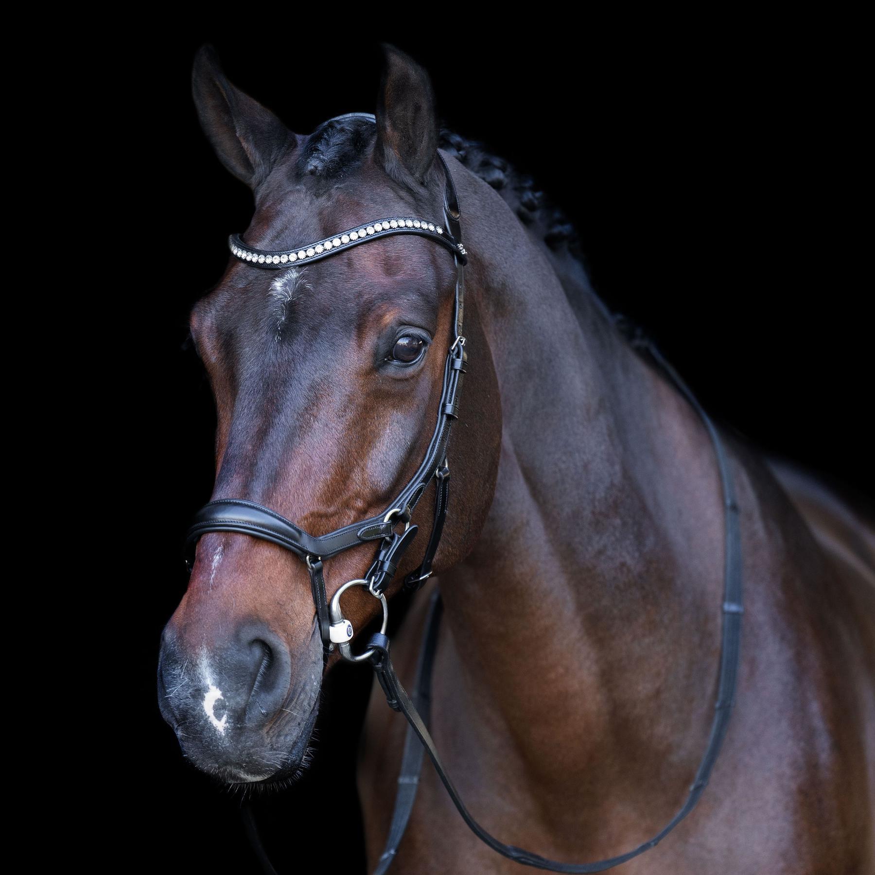HV POLO picture