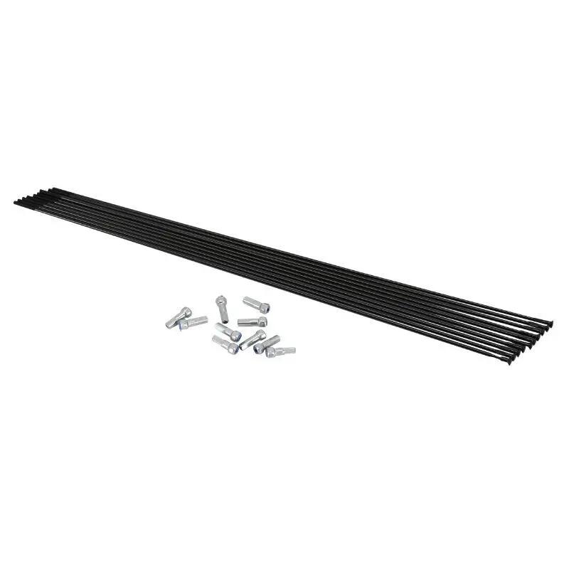 Straight head stainless steel rod Mavic Aksium (x10)