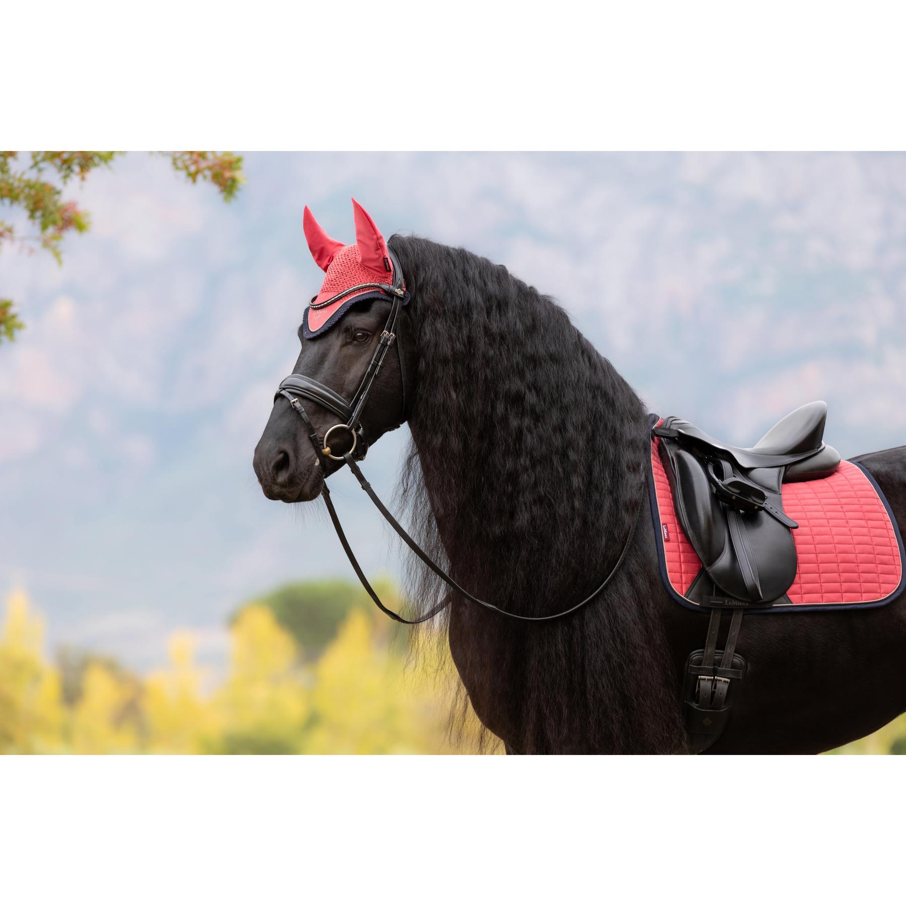 Dressur Schabracke LeMieux Suede Square 2/7