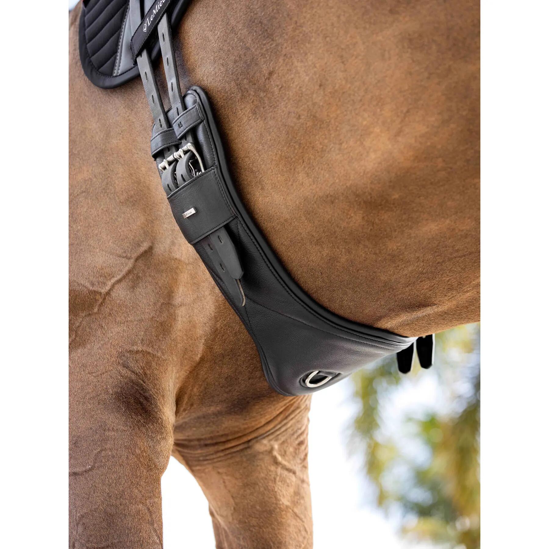 Sangle de dressage d'équitation cuir LeMieux Arika 2/4