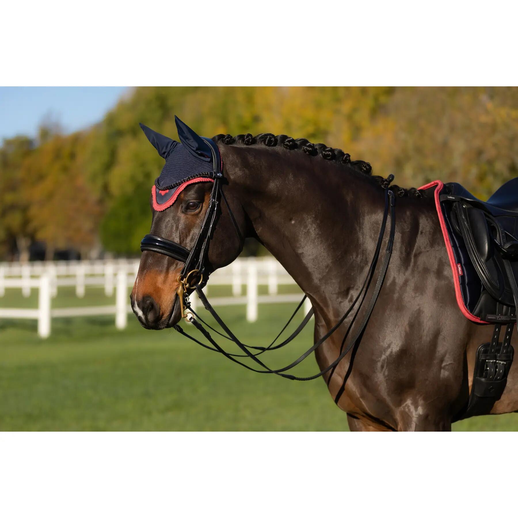 Korte hoed voor paarden LeMieux Loire 3/4