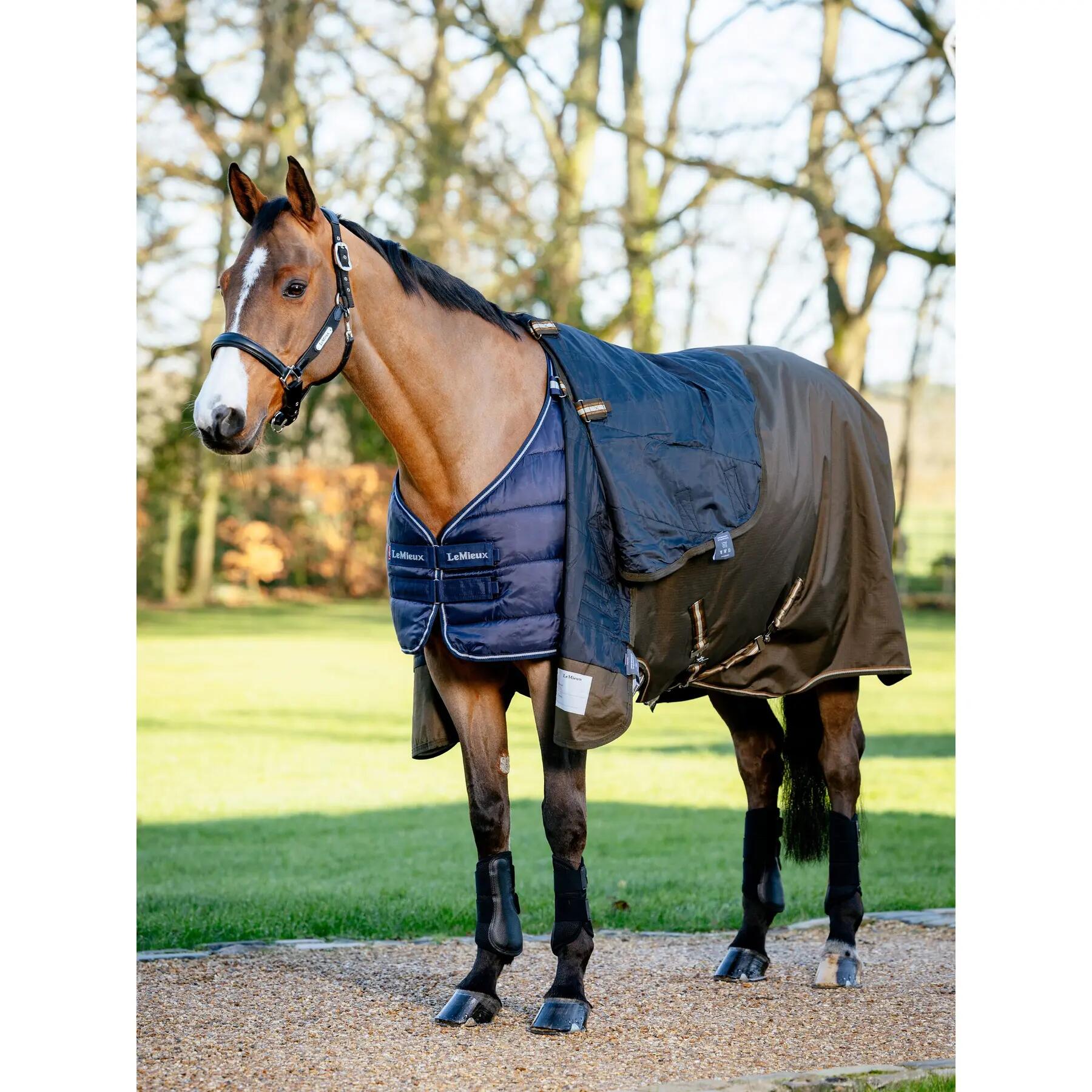 Undercover voor paarden LeMieux Arika 50g 3/4