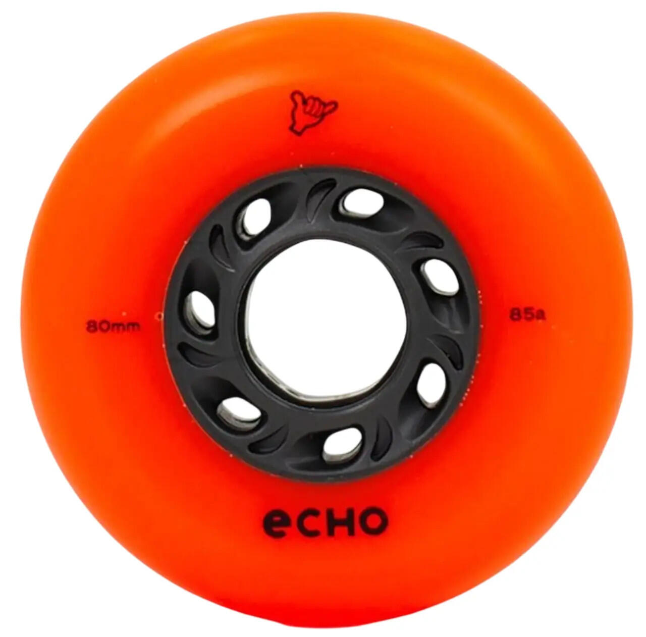 ECHO picture
