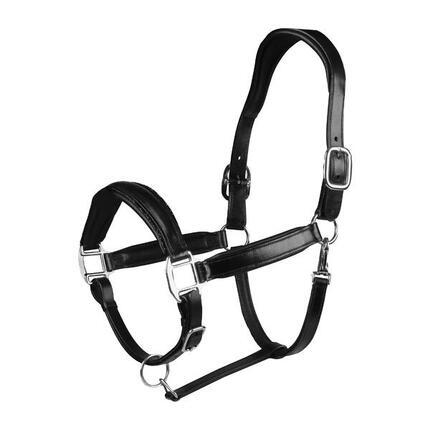 Licol cuir EQPRO Brilliance