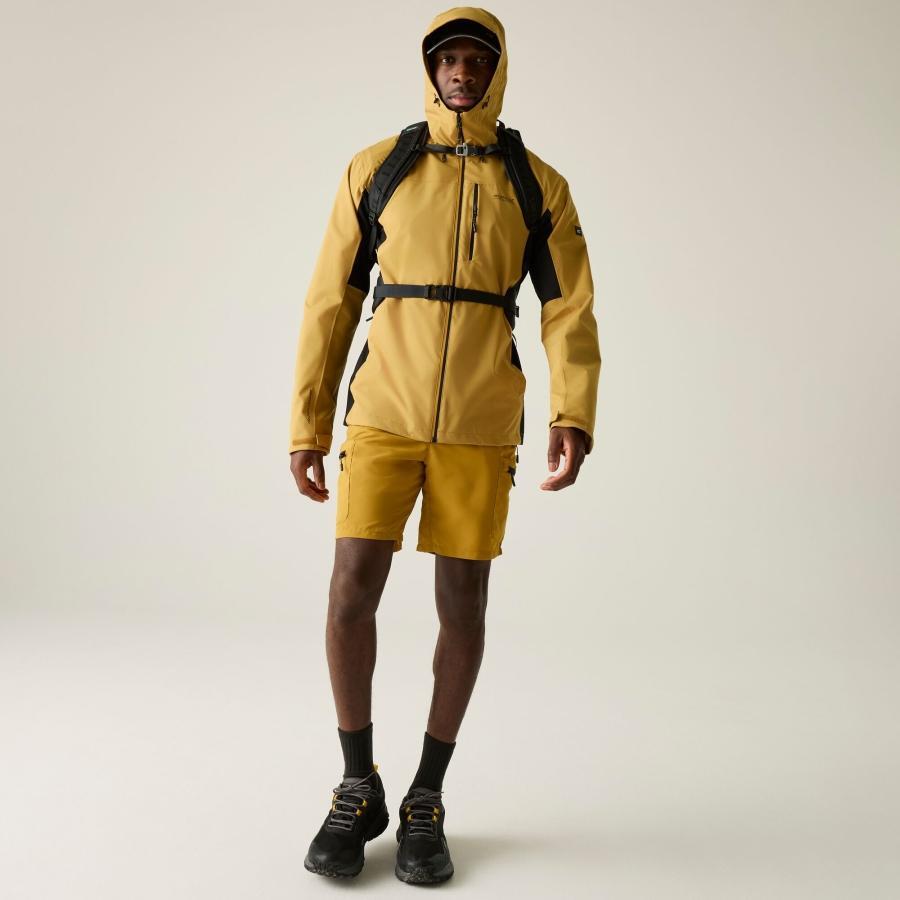 Veste - Birchdale homme 7/7