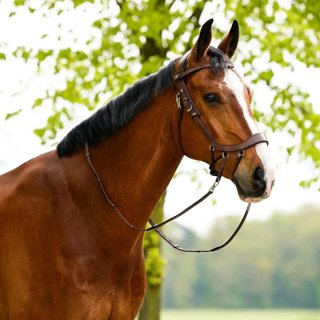 Bridão de equitação anatómico para cavalo Presteq FaySport 3/3