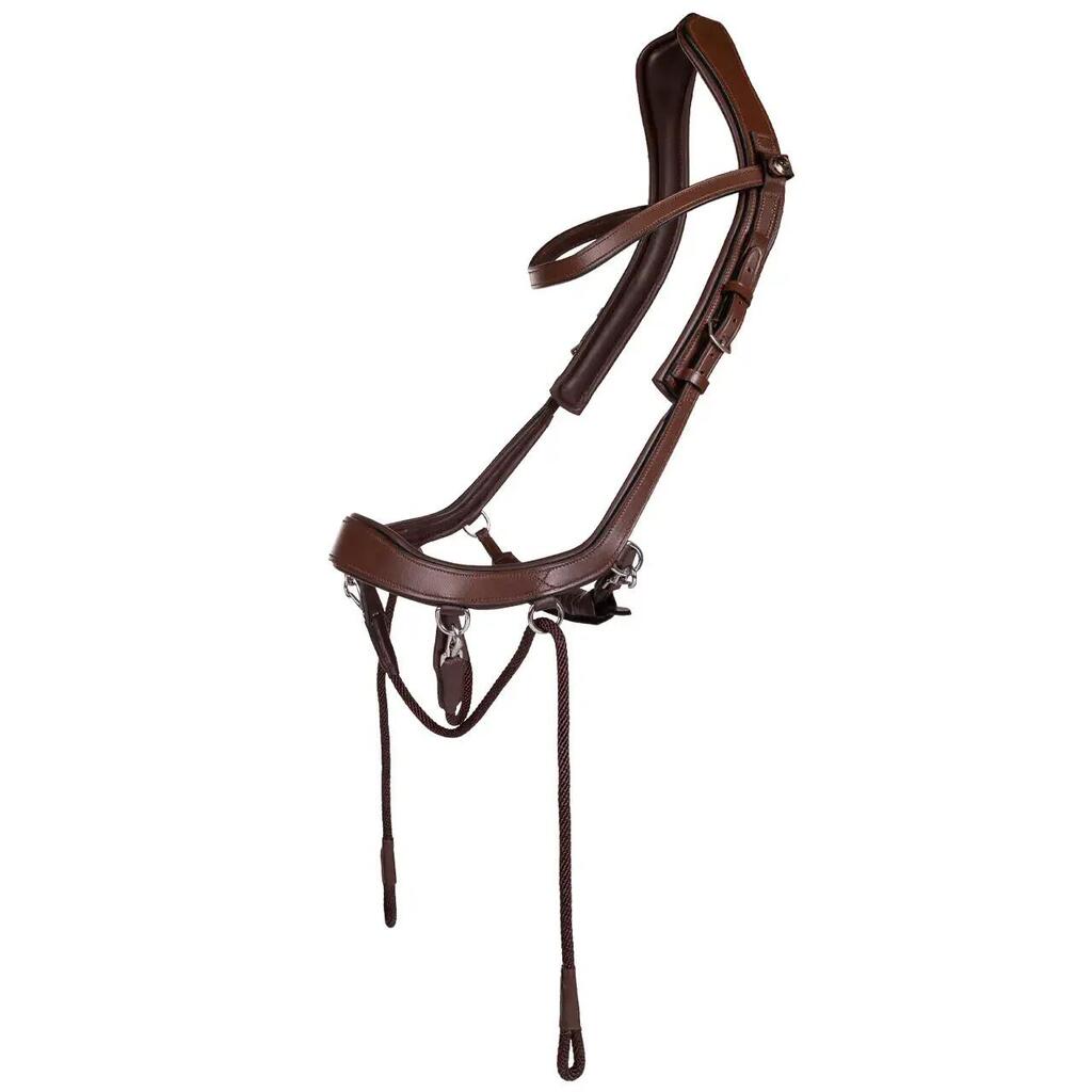 Anatomical horse riding bridle Presteq FaySport