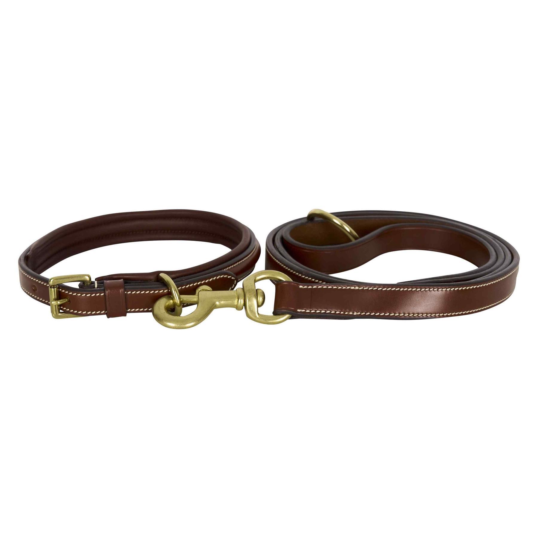 Dog leash HV Polo Legacy 2/2