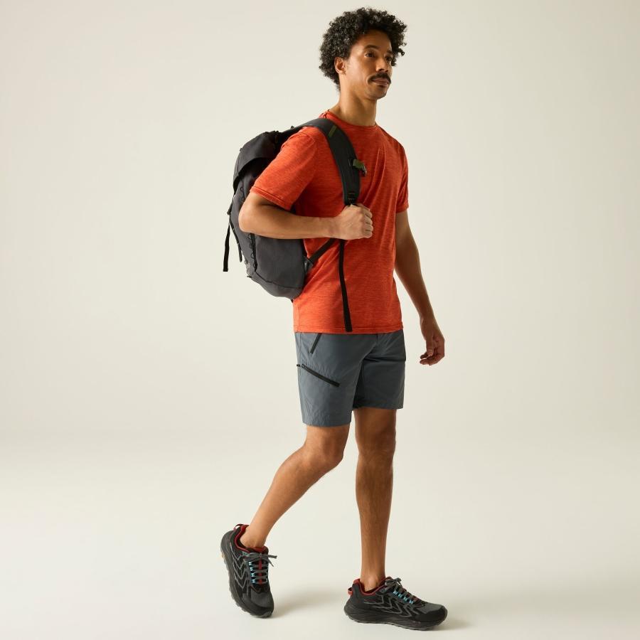 Shorts Regatta Xert Stretch 4/4