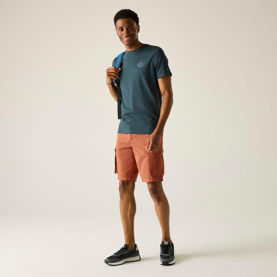 Shorts cargo Regatta Shorebay II 3/5