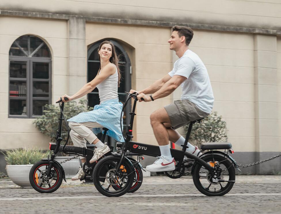 Bicicletta elettrica pieghevole DYU A1F Pro, batteria rimovibile da 36 V e 7,5Ah 7/7