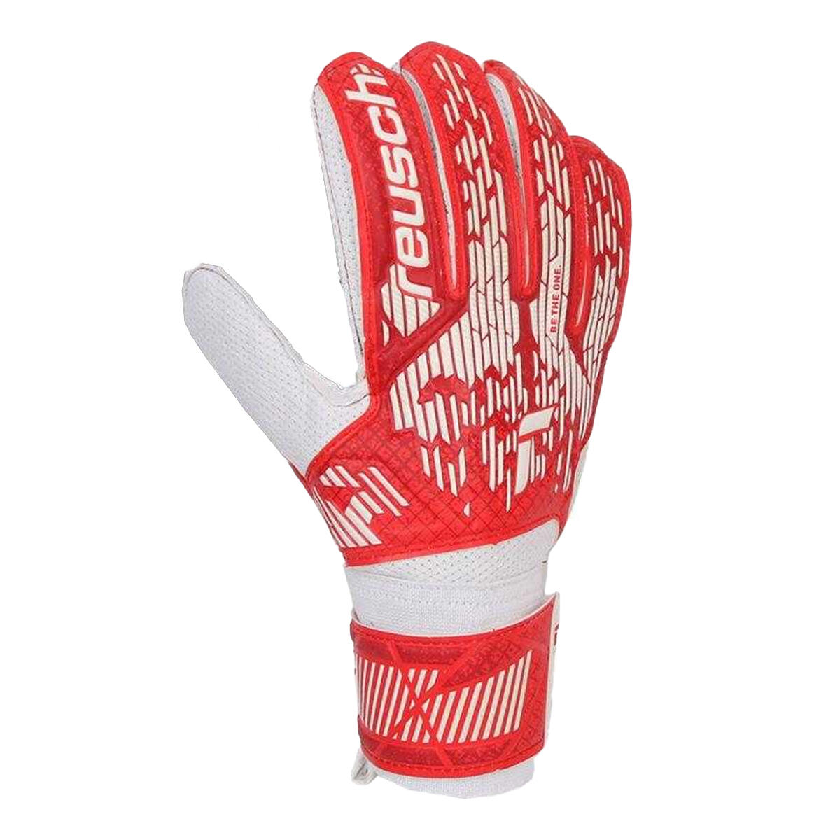 REUSCH picture