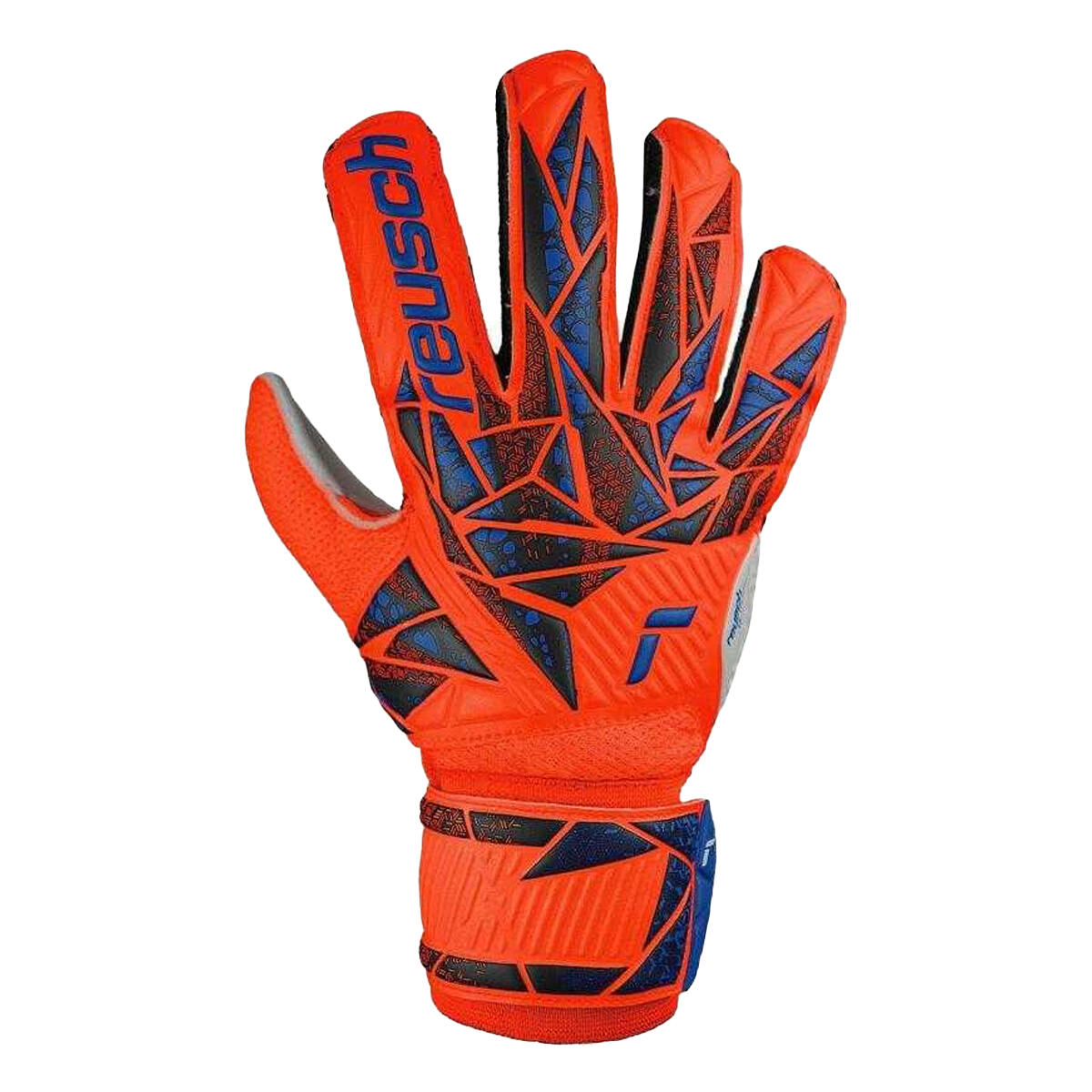 REUSCH picture