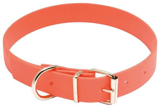 Collier Pour Chien Country Biothane Orange Fluo -40 cm