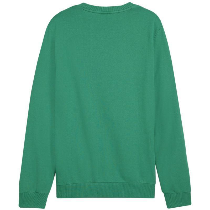Hanorac Drumeții În Natură Puma Team Goal Crew Neck Bărbați