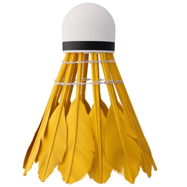 Badmintonové míčky NILS NBL6216