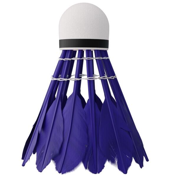 Badmintonové míčky NILS NBL6216