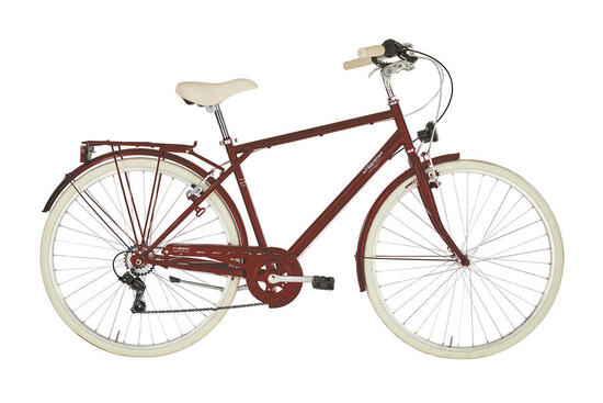 ANITA by Alpina Bike Italia, Sharin 28 Homme