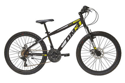 Alpina Bike, Flip 16 MTB