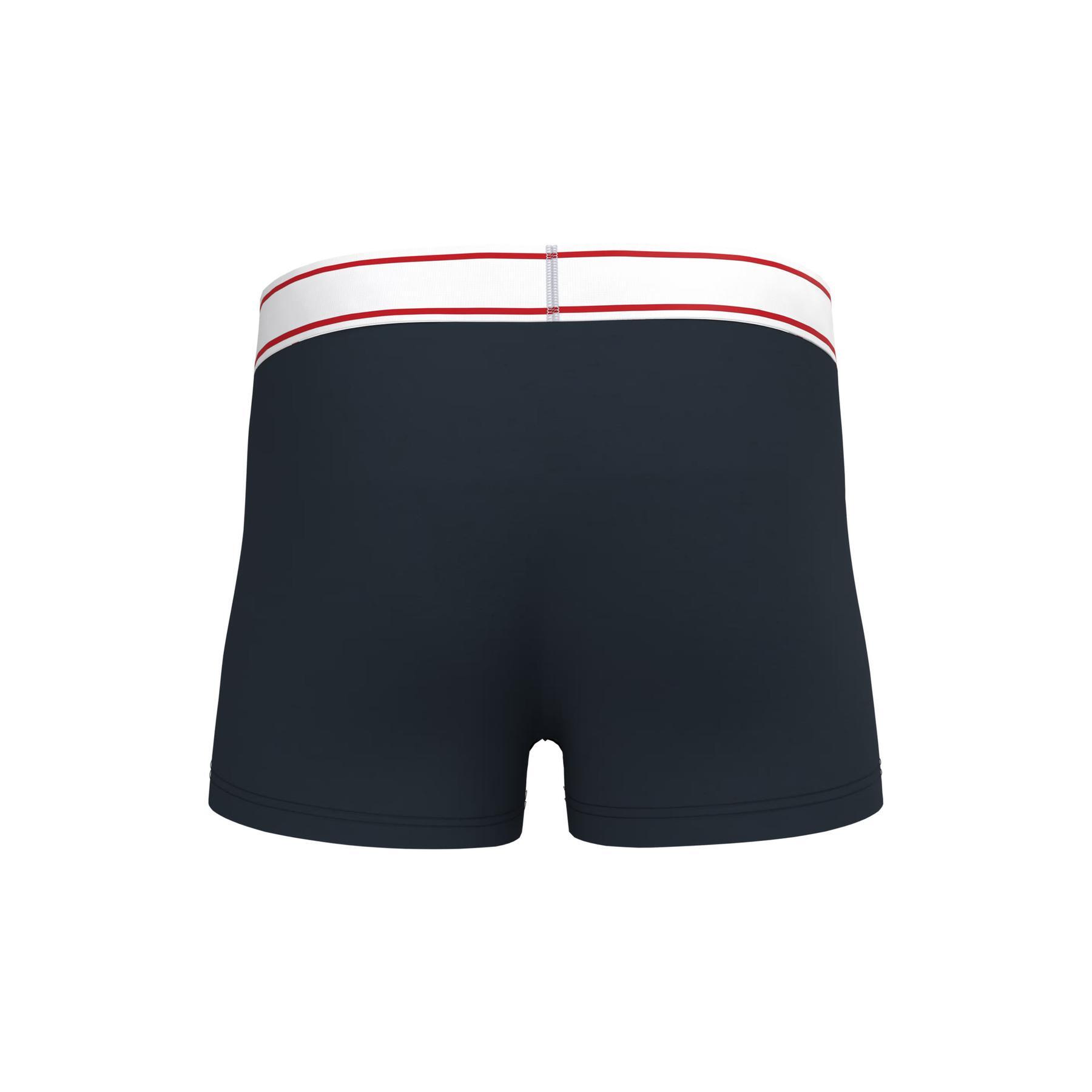 Boxer Kariban 2/3