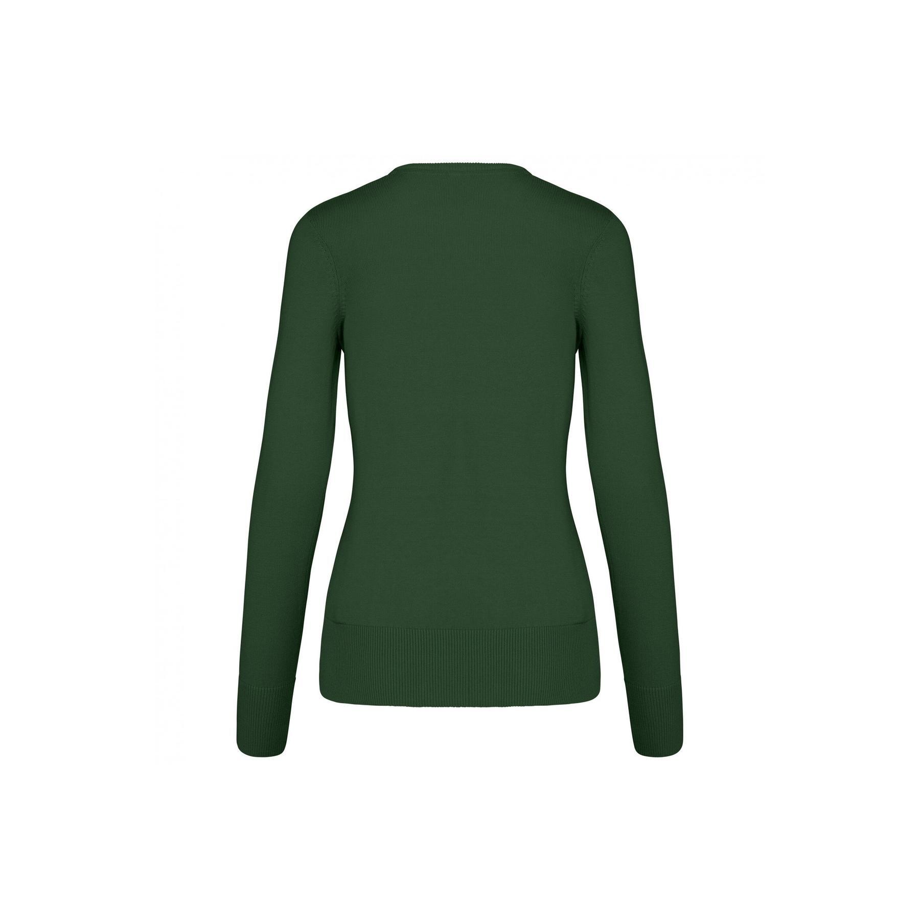 Pull col V femme Kariban 2/3