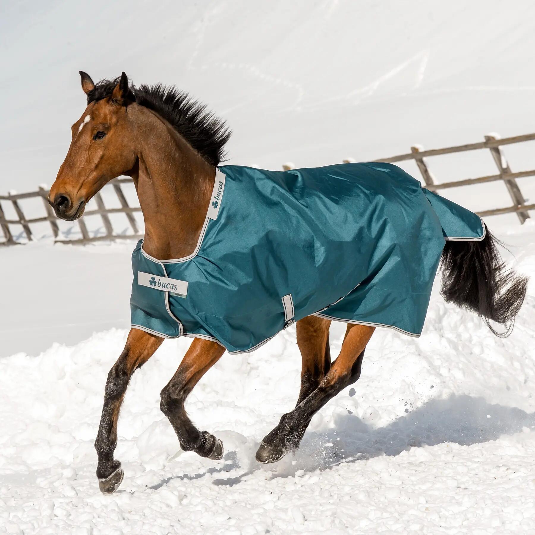 Coperta impermeabile per cavalli Bucas Atlantic Turnout 200g 3/4