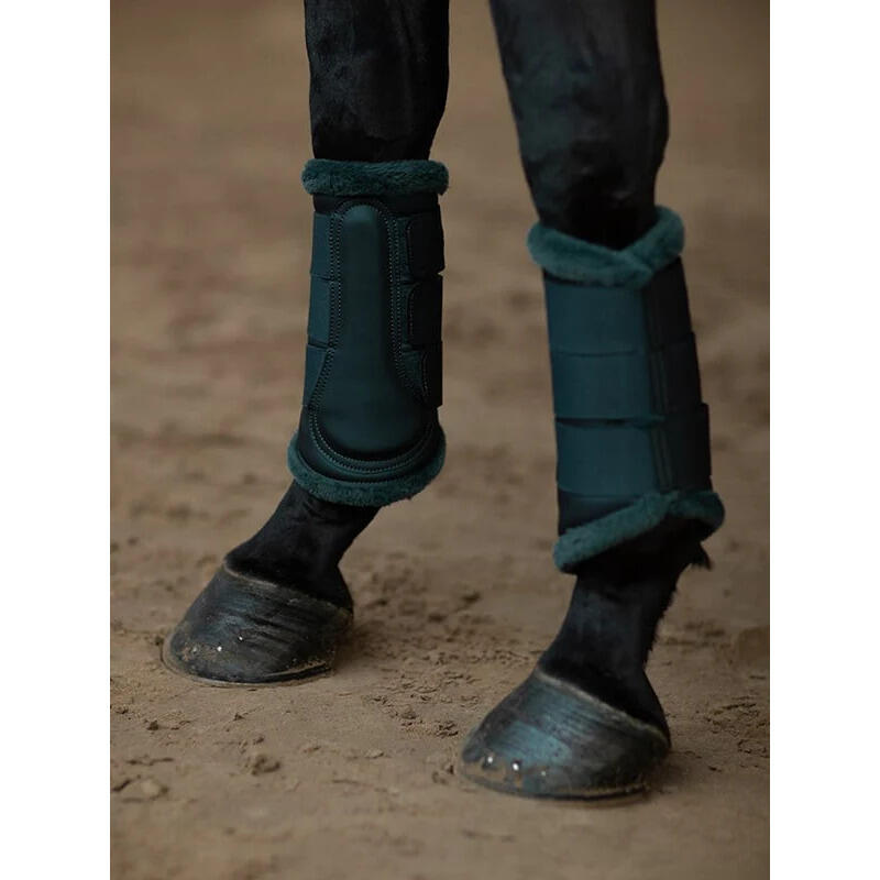 Guêtres fermées pour cheval Equestrian Stockholm 2/3