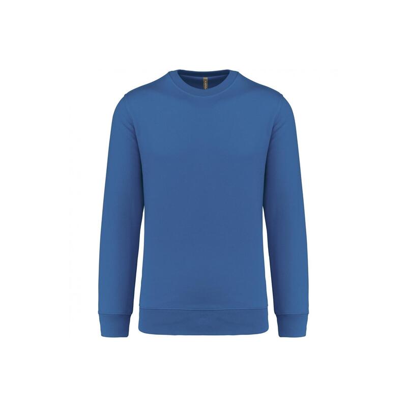 5ad3d704-97a6-489e-8398-9a1a999850f3_c5