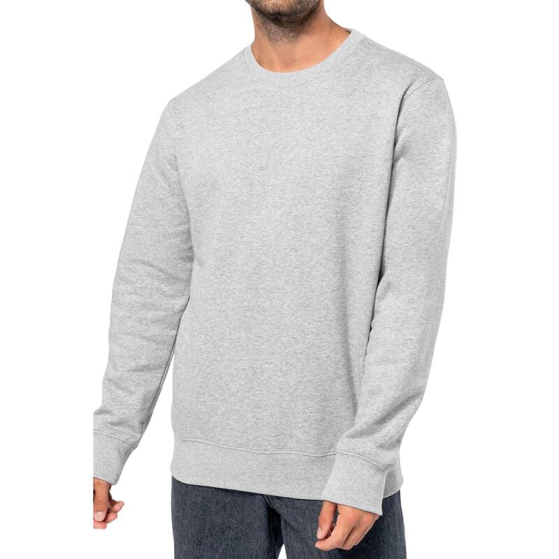 5ad3d704-97a6-489e-8398-9a1a999850f3_c251