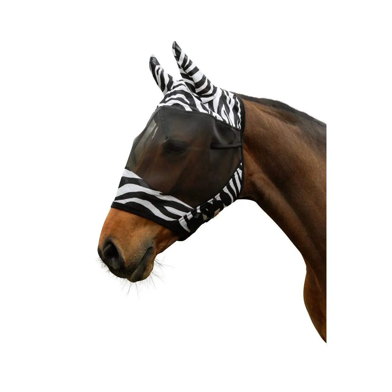 COVALLIERO picture