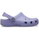 CROCS picture