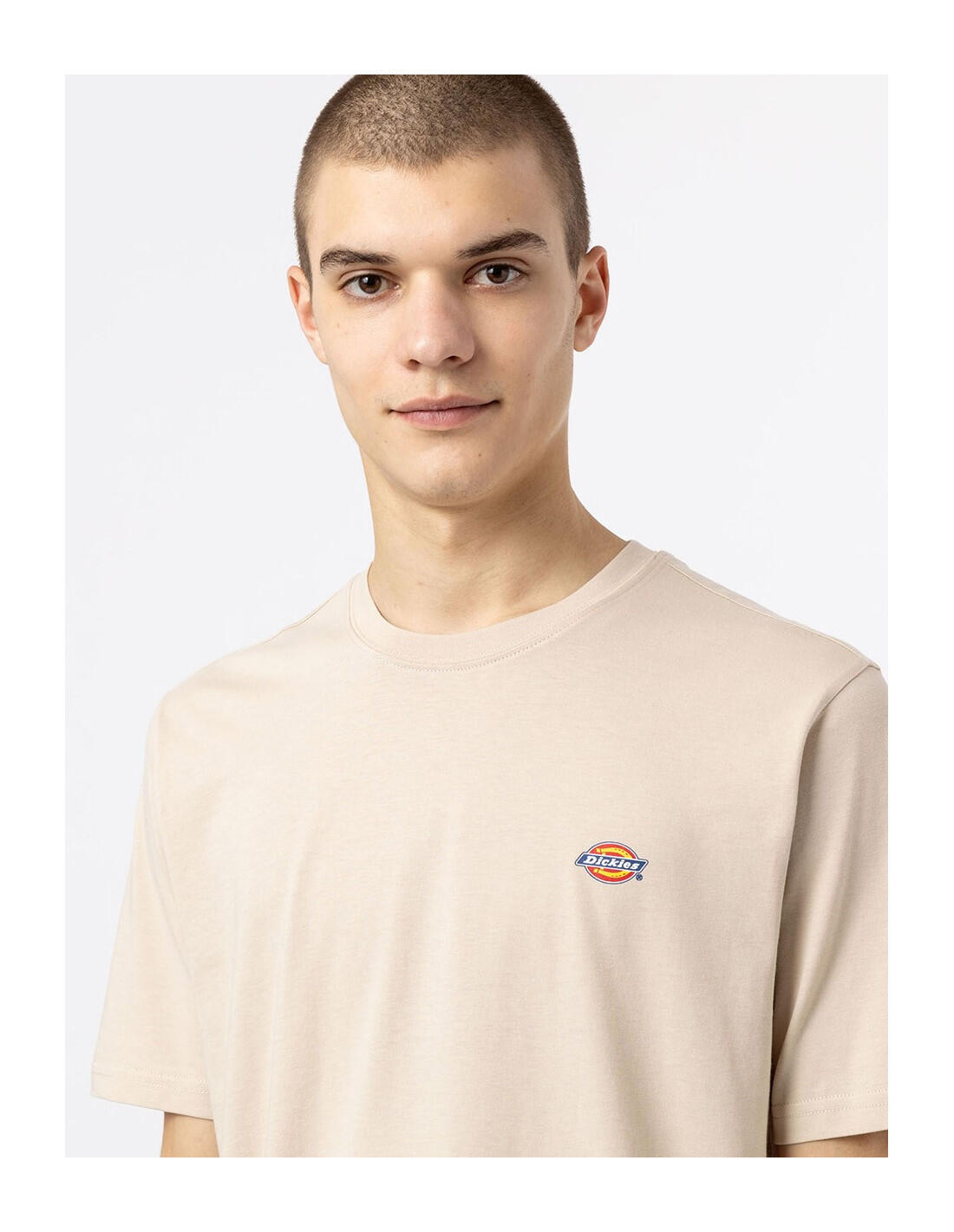 DICKIES DK0A4XDB - T-Shirt 4/5