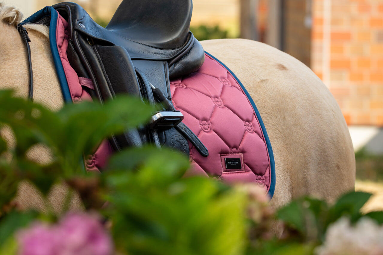 EQUESTRIAN STOCKHOLM picture