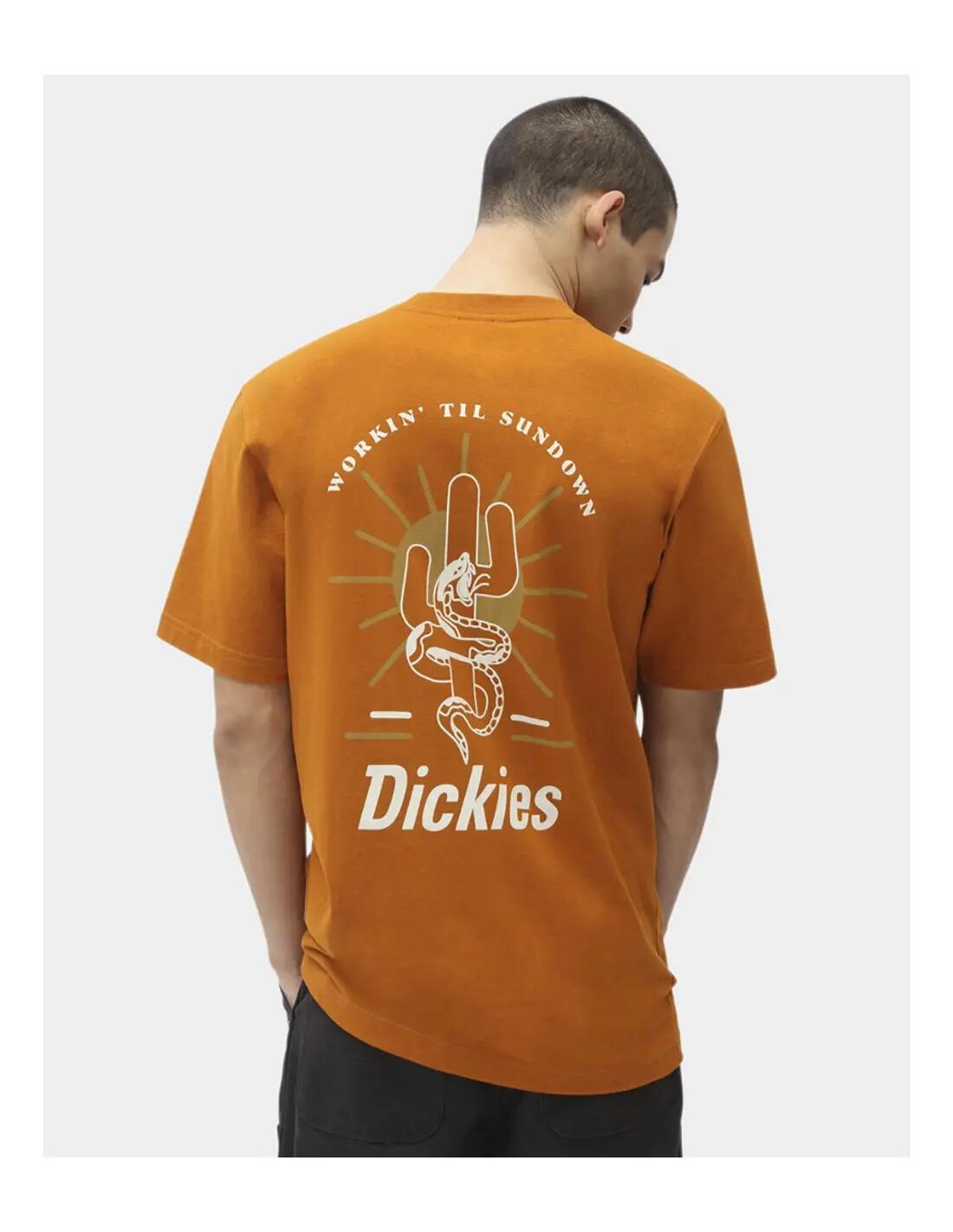 T-shirt met korte mouwen Dickies model DICKIES BETTLES - Camiseta voor mannen 3/5