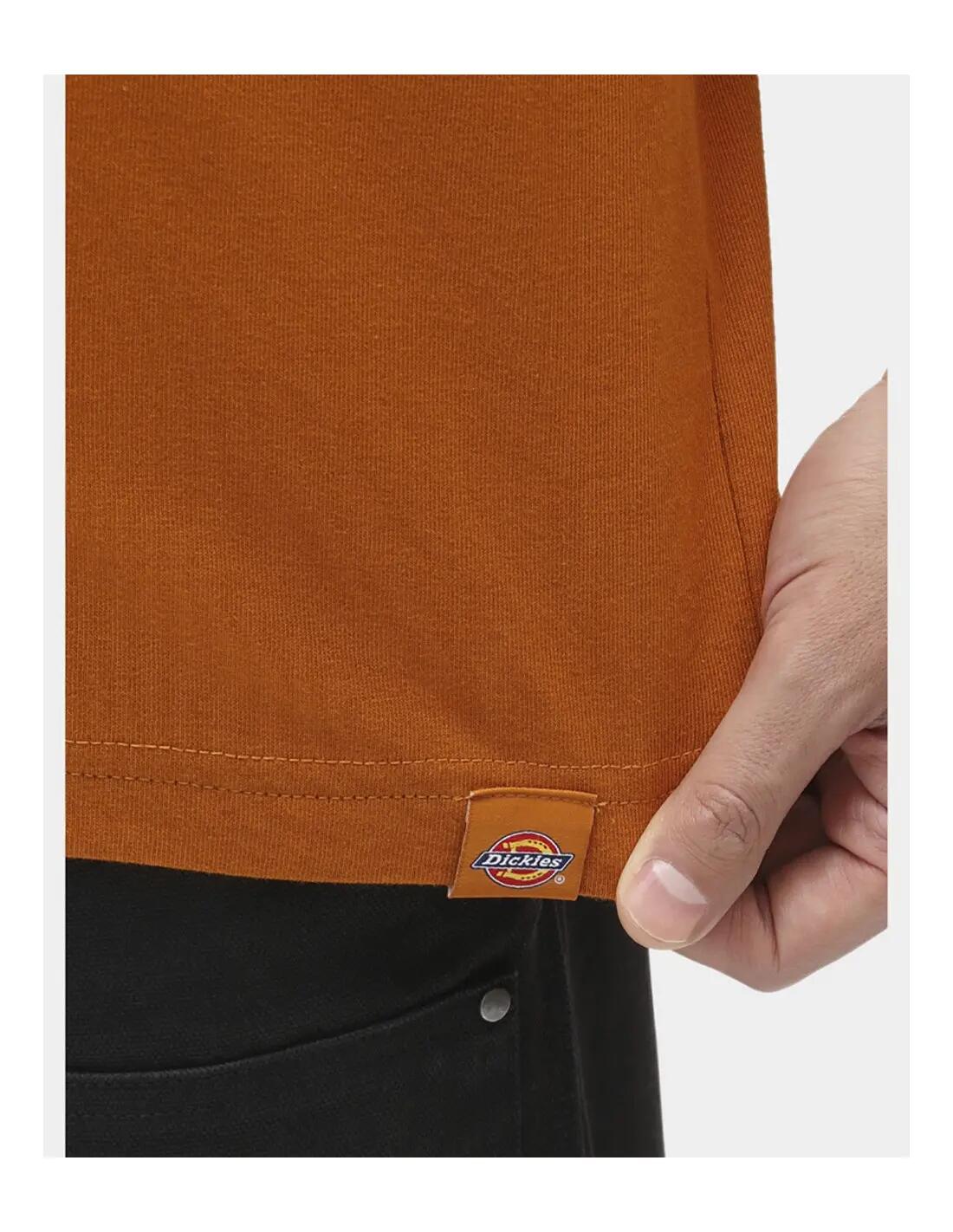 T-shirt met korte mouwen Dickies model DICKIES BETTLES - Camiseta voor mannen 5/5