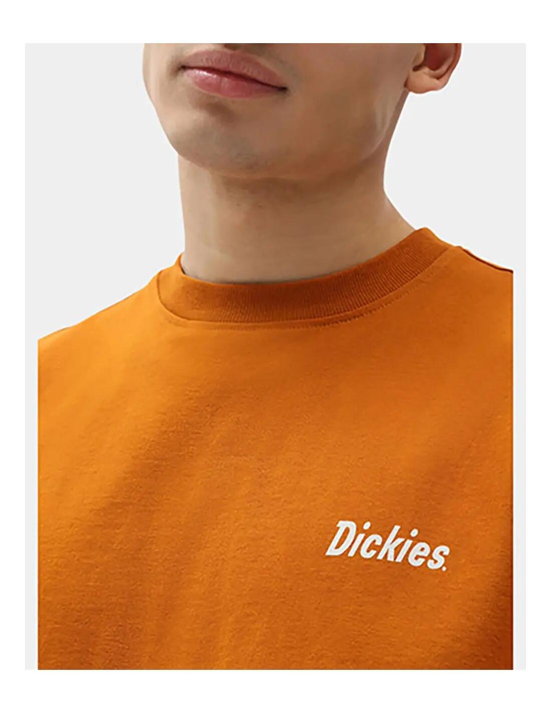 T-shirt met korte mouwen Dickies model DICKIES BETTLES - Camiseta voor mannen 4/5