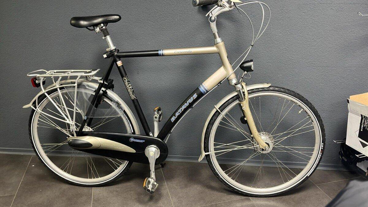BATAVUS picture