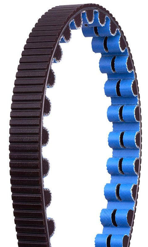 Courroie Gates CDX Carbon Drive 118 dents bleu et noir 2/3