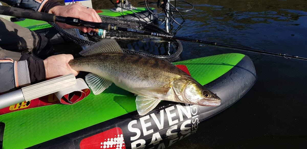 Atrair canas de pesca Ghost Bassa Vertical Special 511 H Fiação 2/2