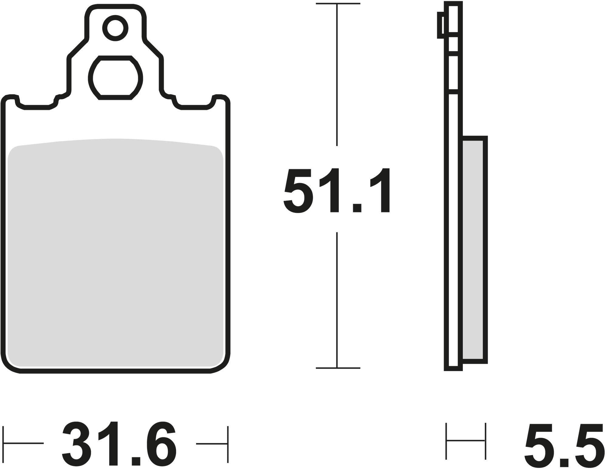 ÉCOLOGIE picture
